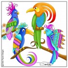 Tropical Birds